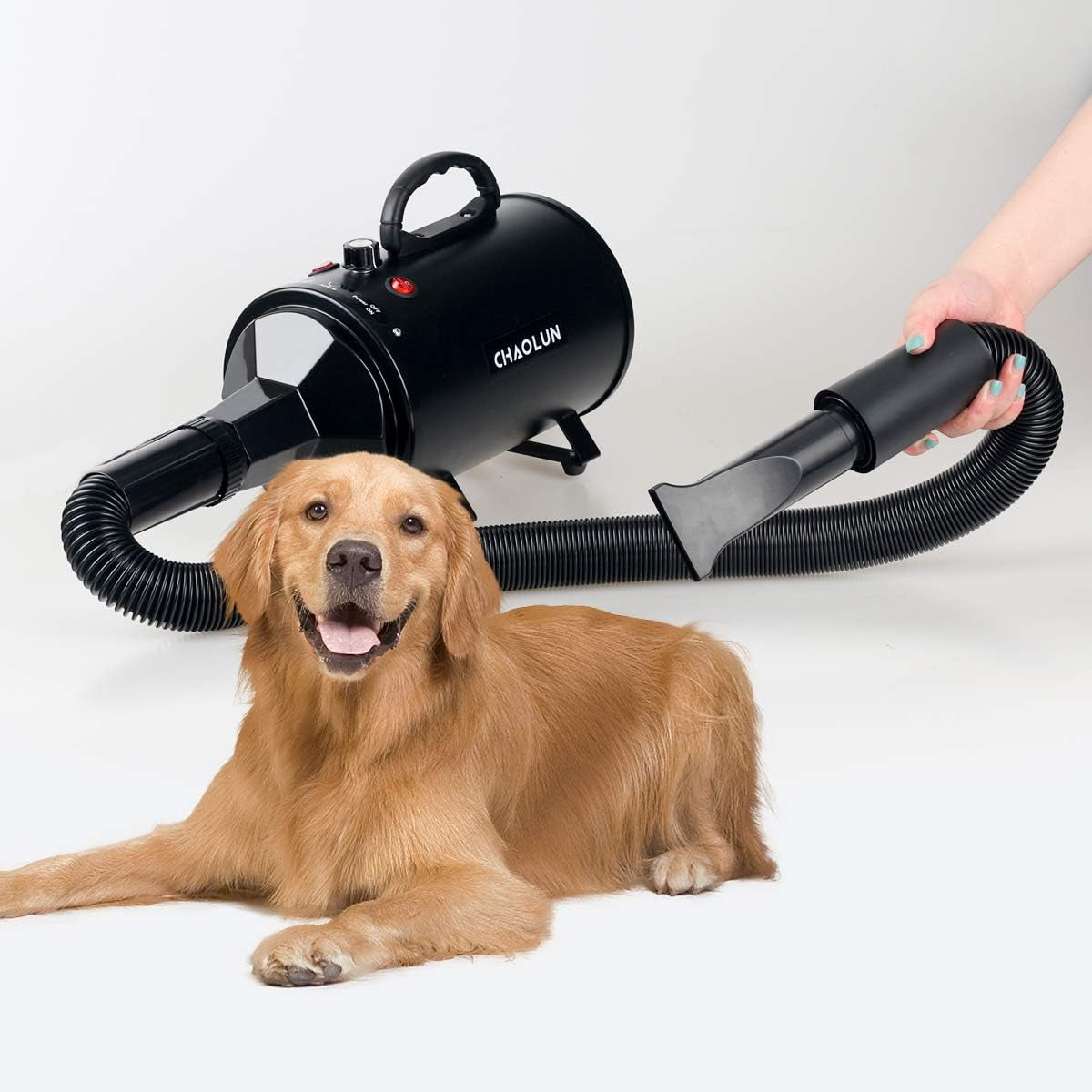 High Velocity Dog Grooming Dryer, Pet Blow Dryer with Heater, Black