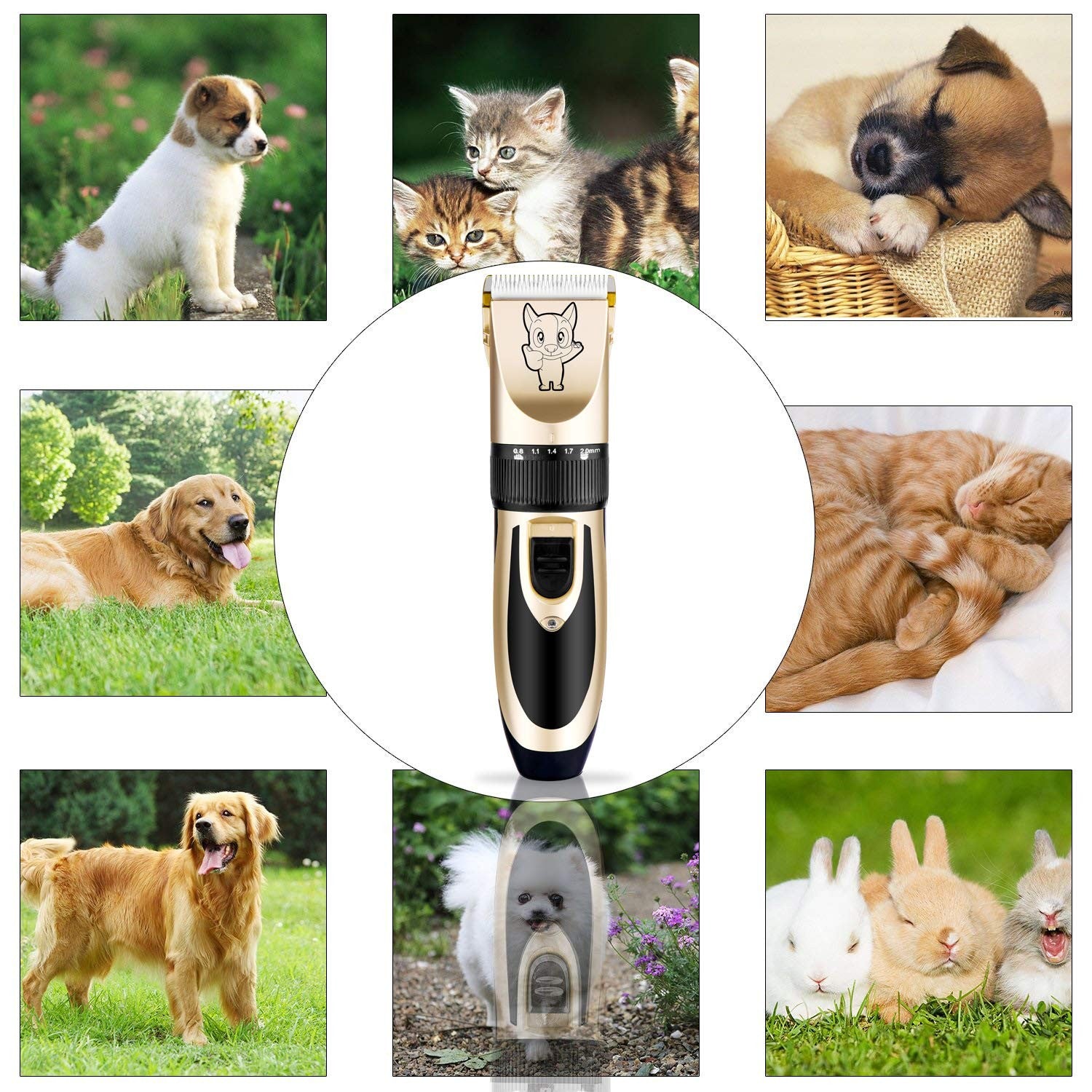 Cortadora De Pelo Cortapelos Profesional Para Perros Maquina Cortar Pet Grooming