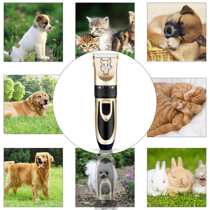 Cortadora De Pelo Cortapelos Profesional Para Perros Maquina Cortar Pet Grooming